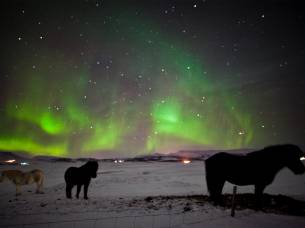 Northern-Lights-In-Style-Secondary 3