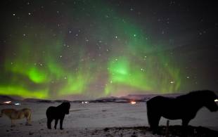 Northern-Lights-In-Style-Secondary 3