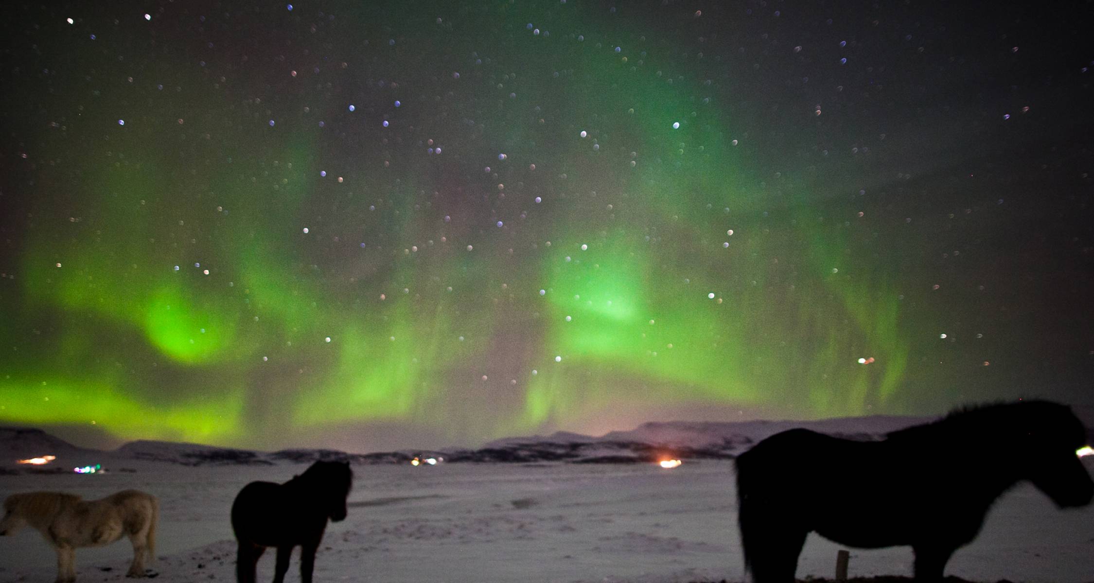Land of the Northern Lights Private Tour | On The Go Tours