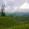 Nuwara Eliya | Sri Lanka