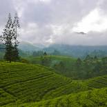 Nuwara Eliya | Sri Lanka