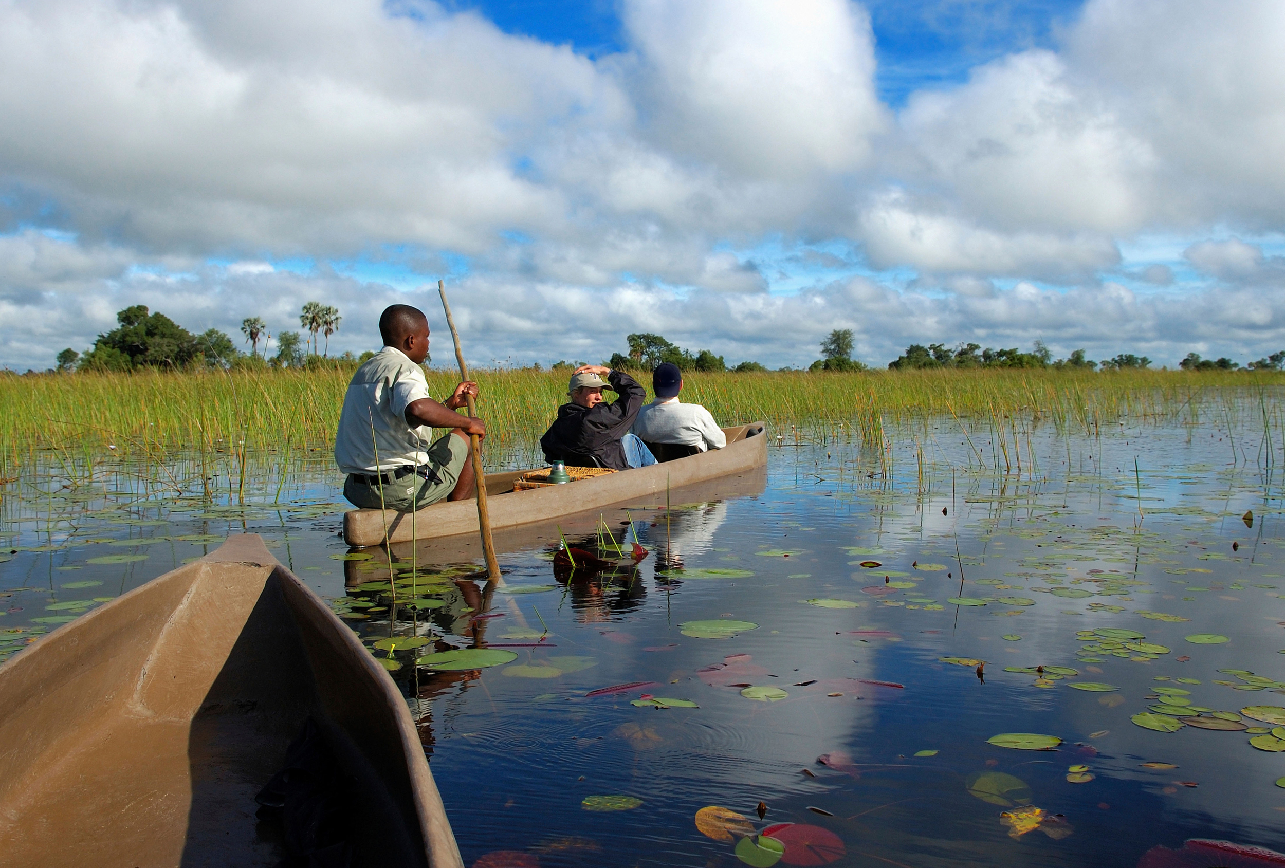 A boat sailing along the Okavango Delta