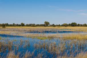 Okavango Delta Highlight