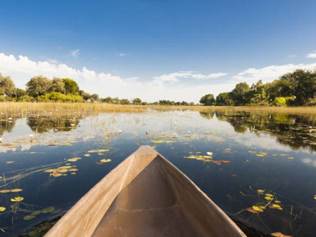 Mokoro boat gliding along the Okavango River