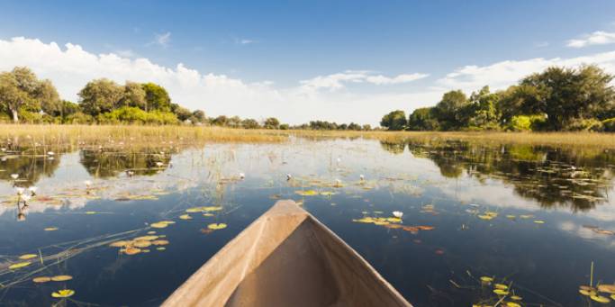 Gliding through the Okavango Delta in a mokoro canoe | Botswana