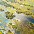 Mokoro boat gliding along the Okavango River