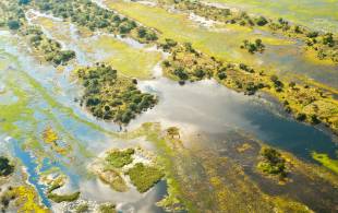 Okavango Delta in Botswana