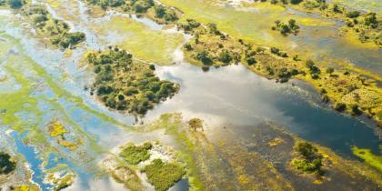 Okavango Delta in Botswana