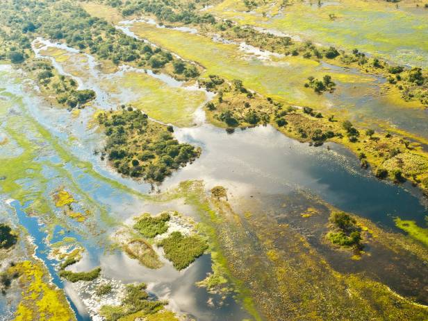 Mokoro boat gliding along the Okavango River