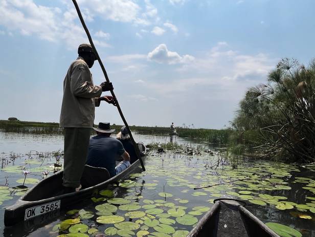 Mokoro boat gliding along the Okavango River