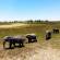 Elephants in the Okavango Delta | Botswana