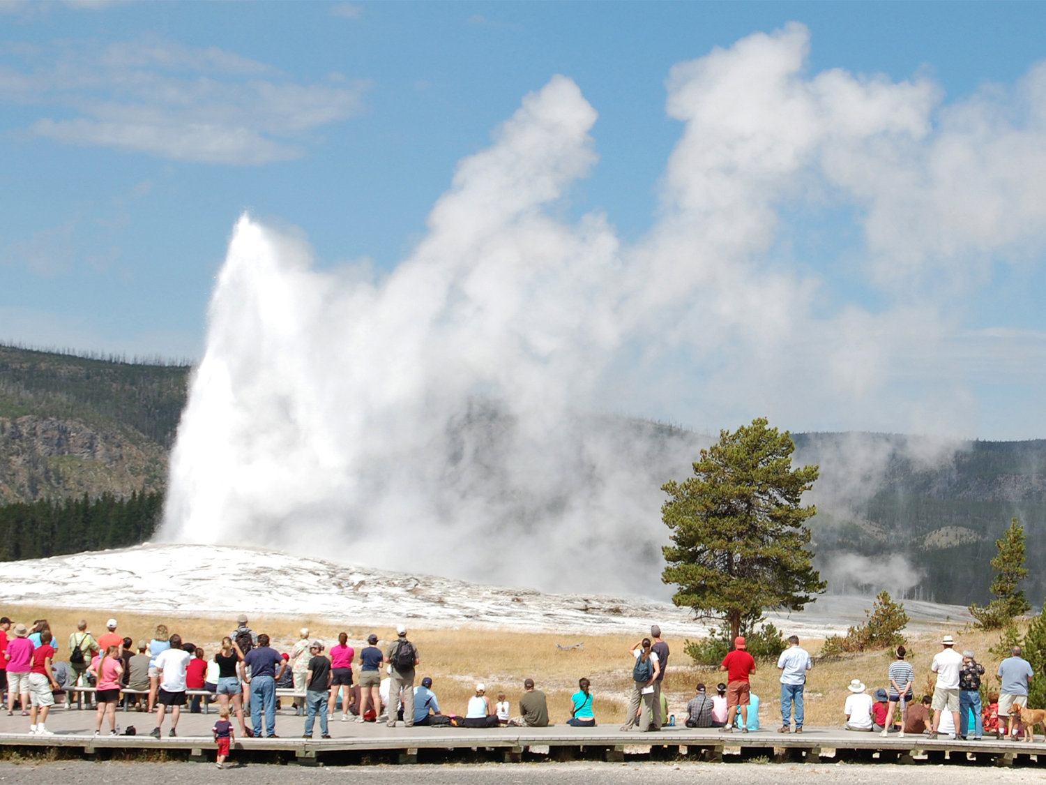 Day 6 - Yellowstone National Park