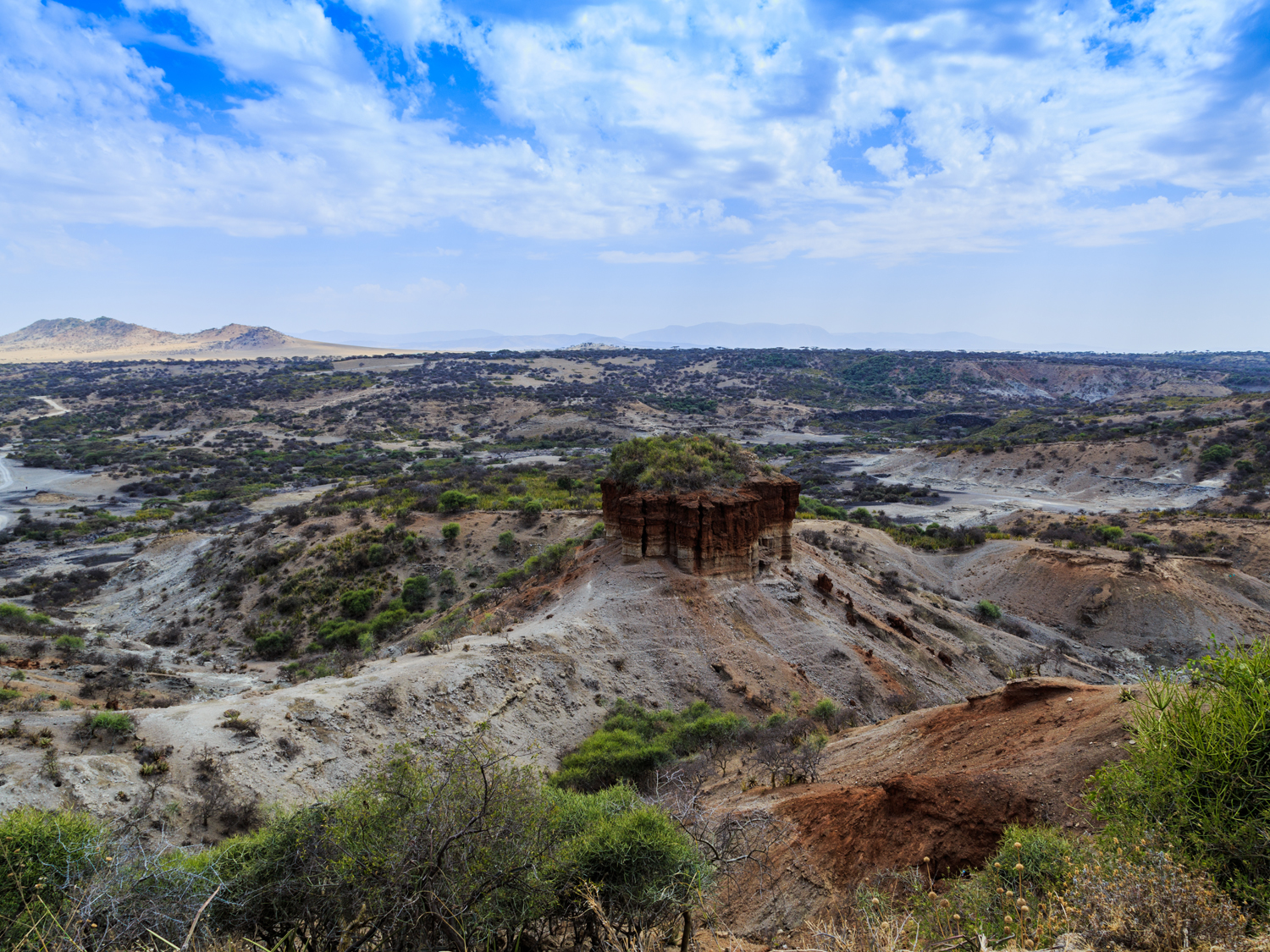 Day 11 - Serengeti National Park
