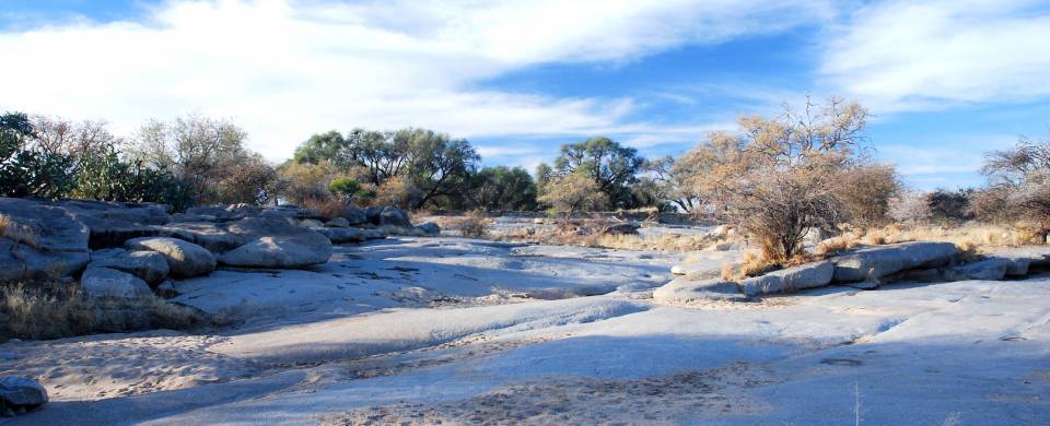 The dried out river bed of Okonjou, near Omaruru