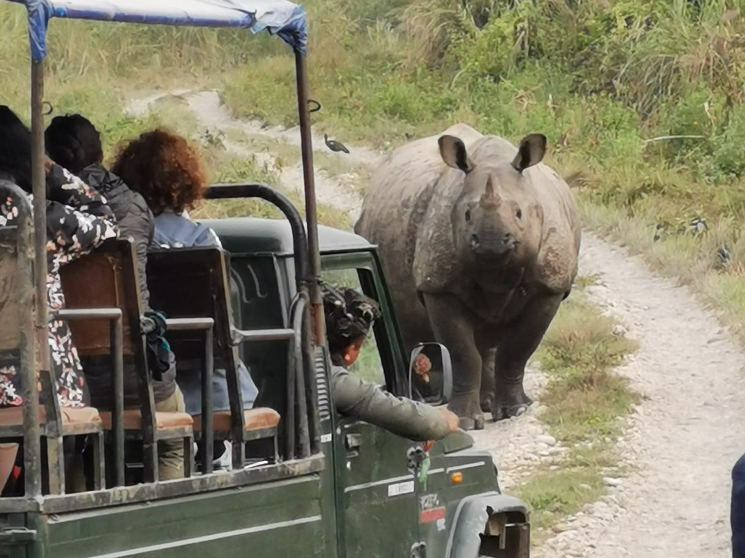 Day 5 - Chitwan National Park