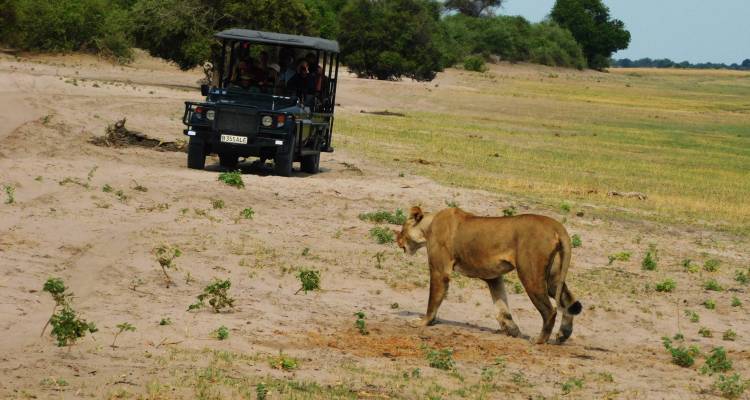 tourhub | On The Go Tours | Cape, Delta, Falls & Kruger (Accommodated)  - 25 days | 2597/CDFKA