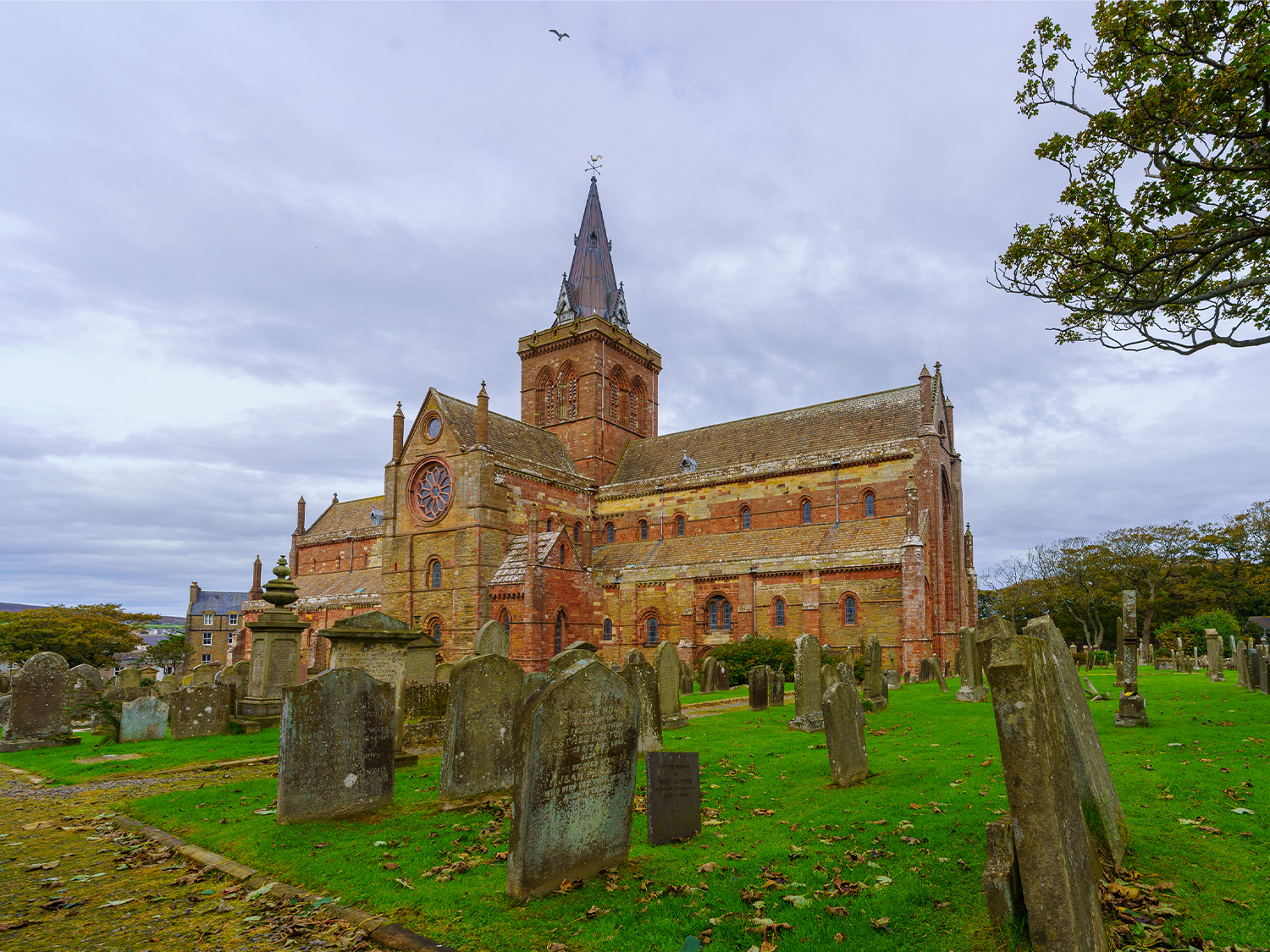 Orkney Express (Hotel) - 3 days