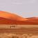 An oryx in the desert | Namibia