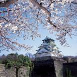 Osaka Castle | Osaka | Japan