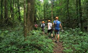 Oudomxay_Hiking_Tour - Laos