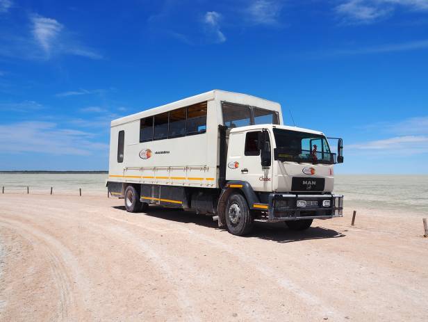 Gemsbok standing at a water hole at Etosha National Park