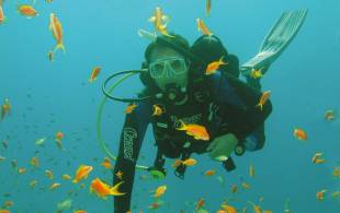 PADI-Dive-Dahab-Courses-Bolt-on-Egypt