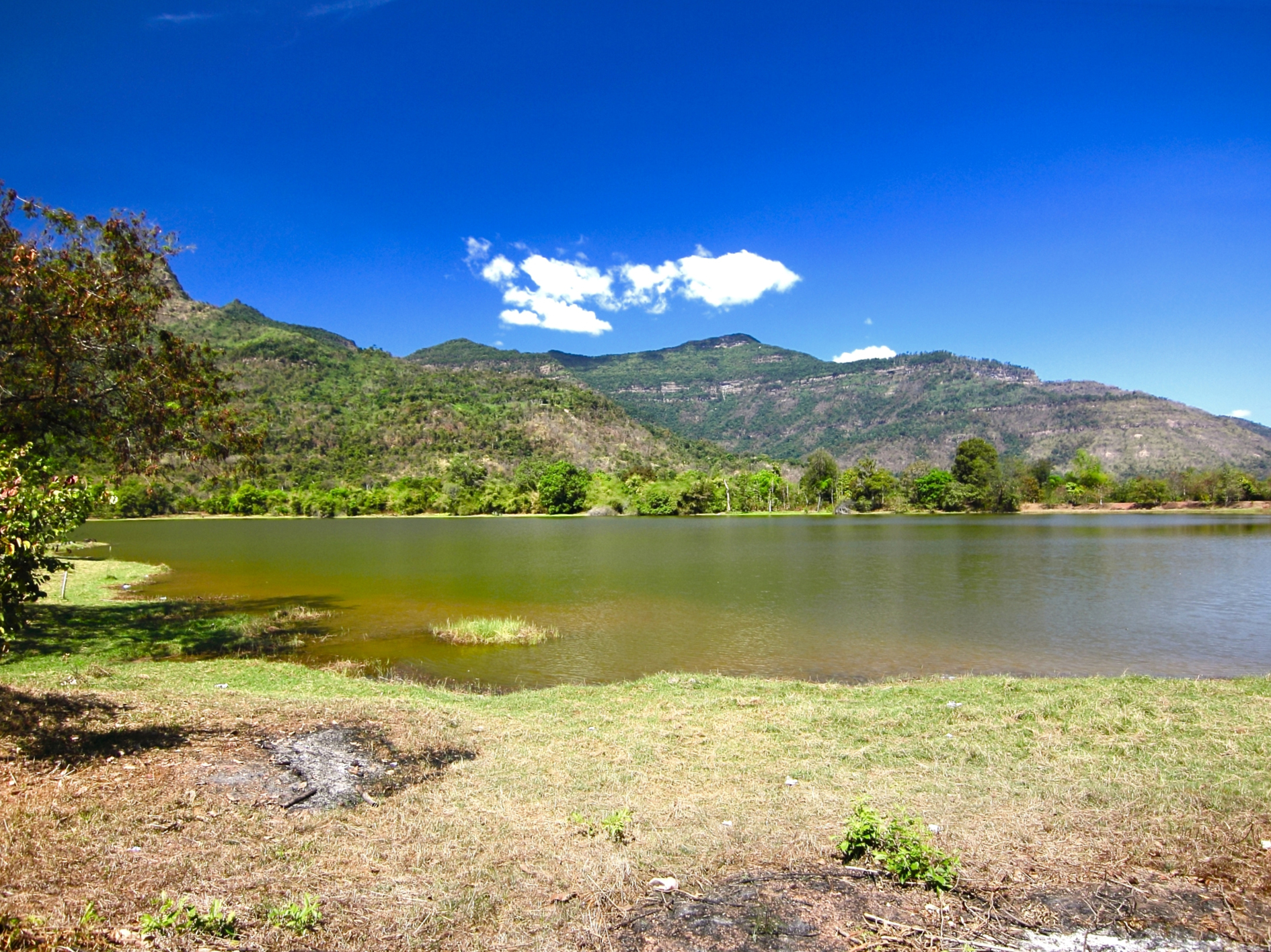 Day 6 - Coffee Culture on the Bolaven Plateau