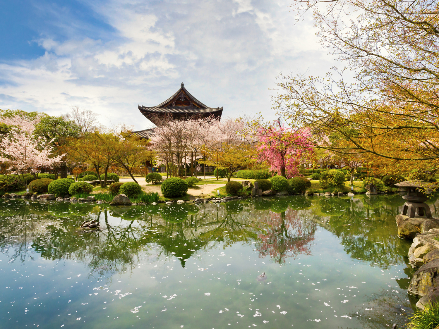 the imperial palace park in Kyoto japan in the spring time