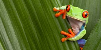 Panama Best Places to Visit menu image