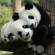 Pandas-Useful-Info-China