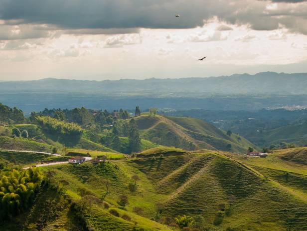 The picturesque Zona Cafetera in Colombia with coffee plantations and rolling hills