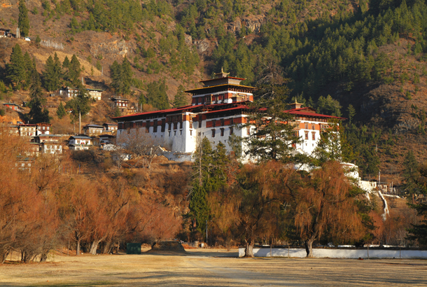 Day 4 - Punakha