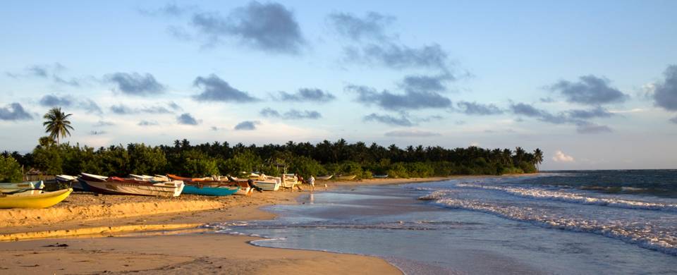 The golden sand and palm trees of Passekudah - Flickr Credit - Eiko