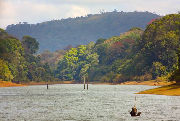 Periyar National Park - Visiting Kerala edit