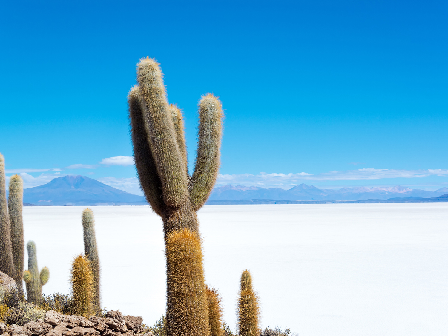 Peru & Bolivia Discovery (Superior) - 13 days