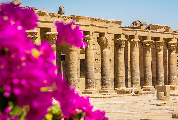 Alexandria, Classical Egypt & Nile Cruise - 14 Days
