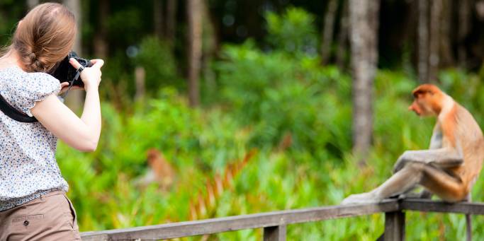 Photographer and a Proboscis monkey | Borneo