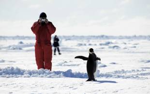 Photography in Antartica - Top Travel Tips - On The Go Tours