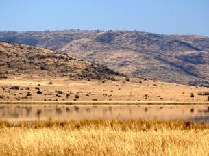 Pilanesberg National Park, South Africa