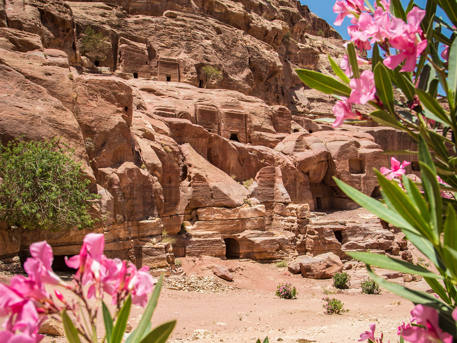 Day 4 - Petra