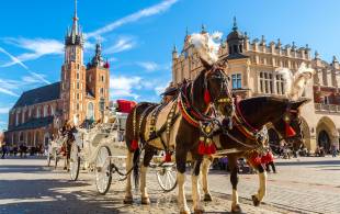 Poland - Krakow Horses - Eastern Europe - On The Go Tours