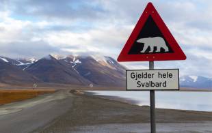 Polar bear warning sign outside Longyearbyen - Svalbard - Norway