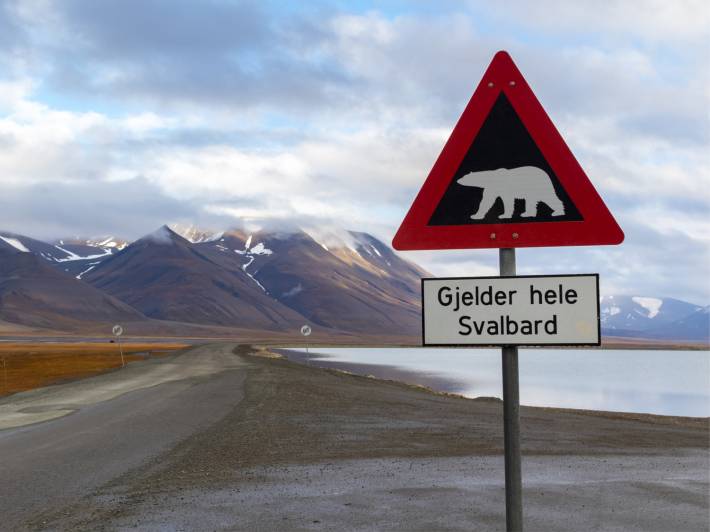 Polar bear warning sign outside Longyearbyen - Svalbard - Norway