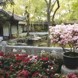 Garden in Suzhou | China