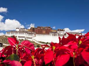 Potala Palace - Himalayas Tours - On The Go Tours