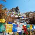 The Tiger Nest temple sitting precariously on the side of a cliff in Paro
