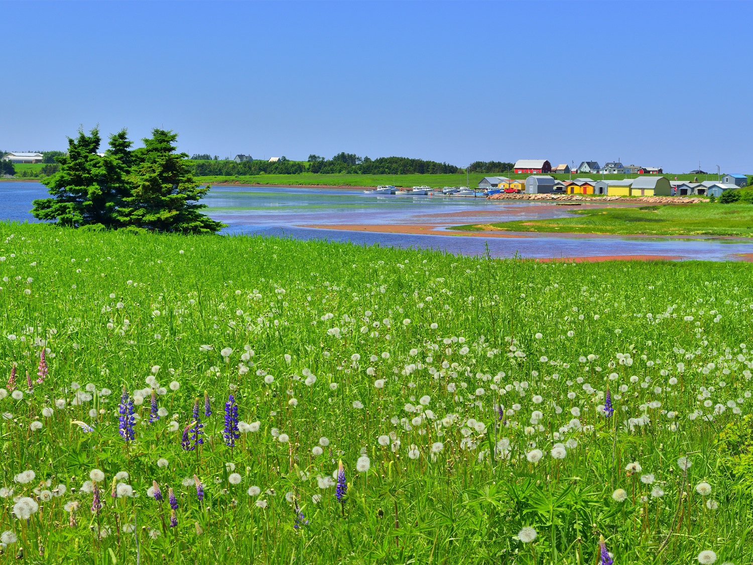 Prince Edward Island Discovery - 5 days