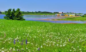 Prince Edward Island 2 - Canada