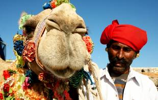 Pushkar camel festival
