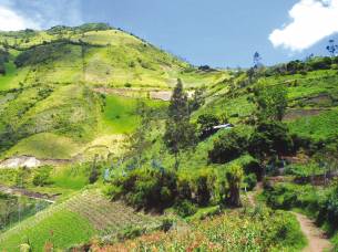 Quicha-to-Quito-Itinerary-4-Ecuador-&-Galapagos-South-America